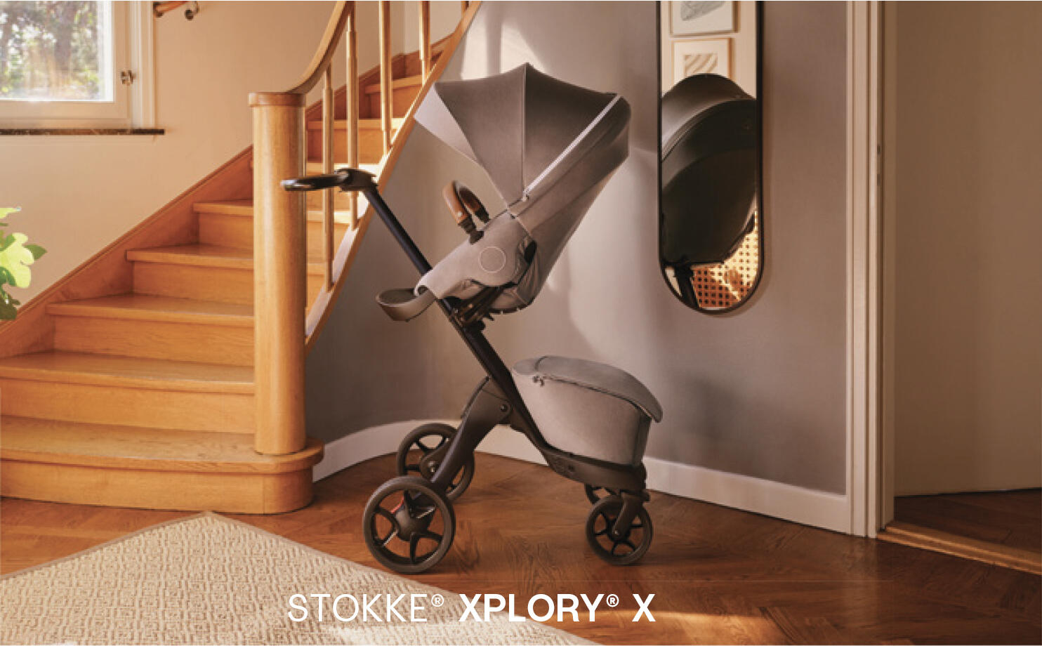 Common.Elements.Image.Web