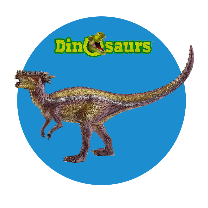 Common.Elements.Image.Web