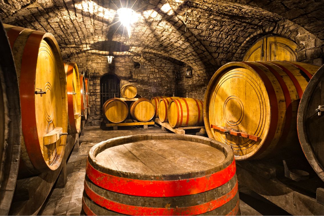 Wine cellar in Vipavska dolina